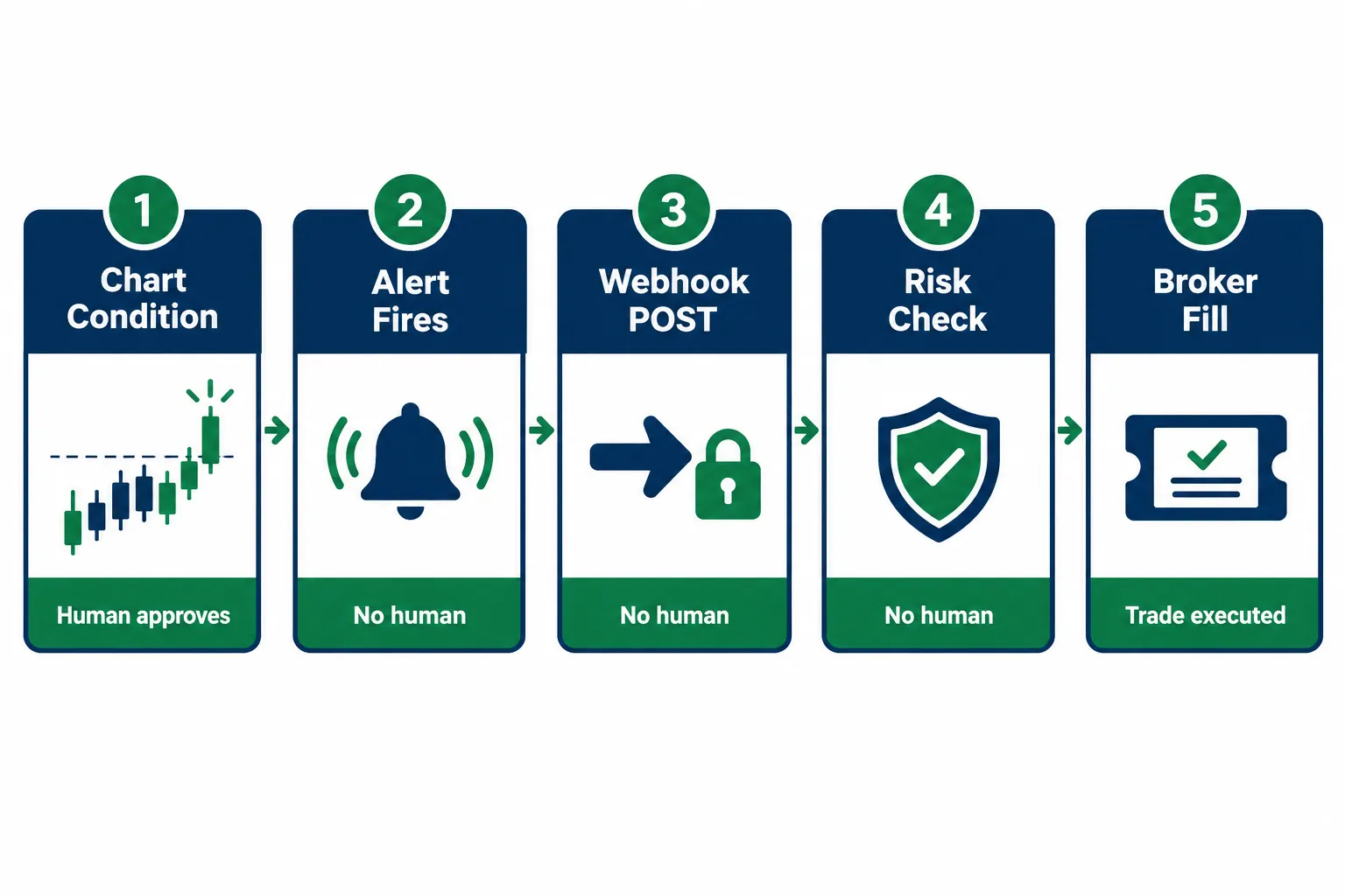 Five-stage flow in navy and green: chart condition, alert fires, webhook POST, risk check and broker fill, with notes showing where a human approves and where none does.