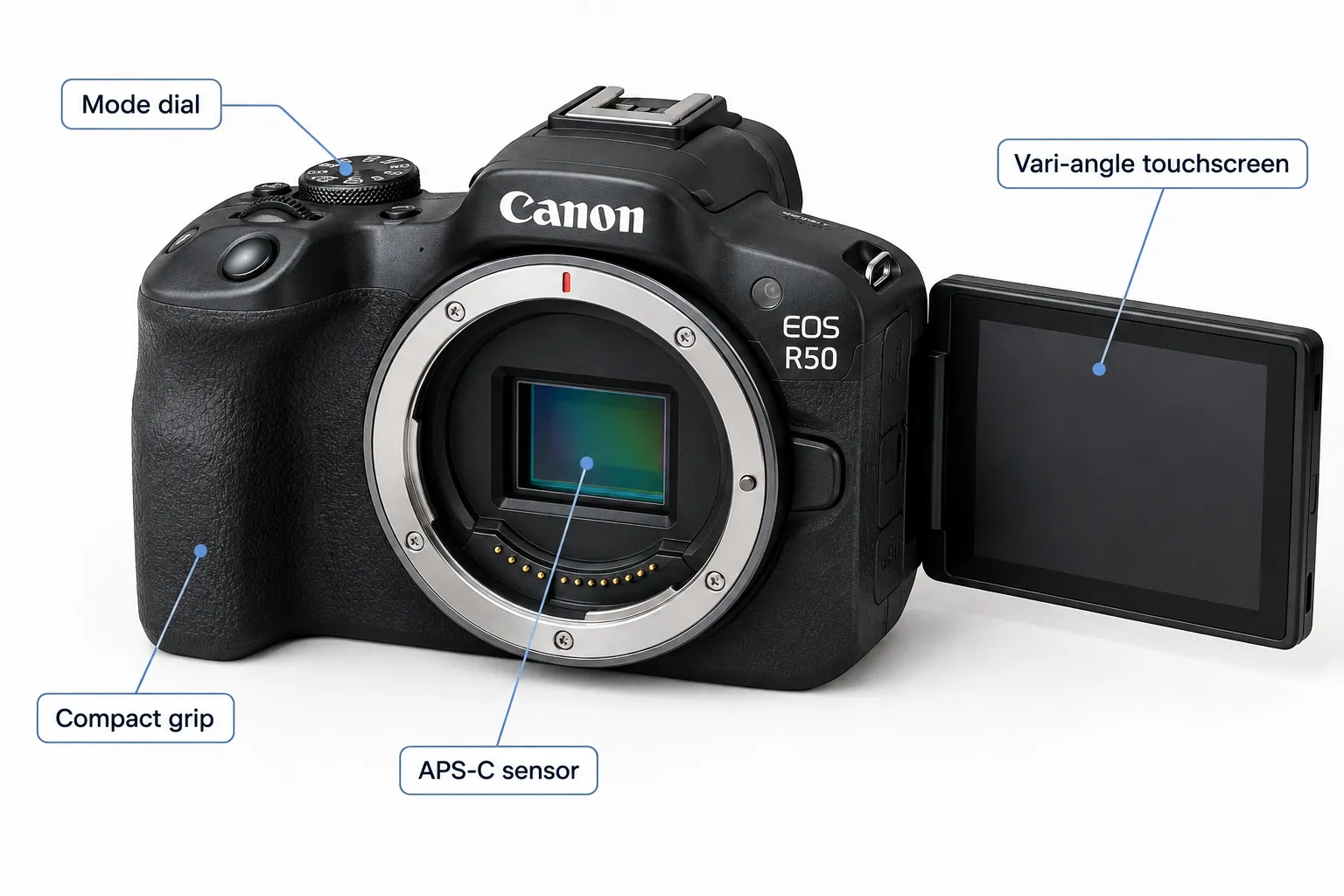 Canon EOS R7 Mirrorless Camera