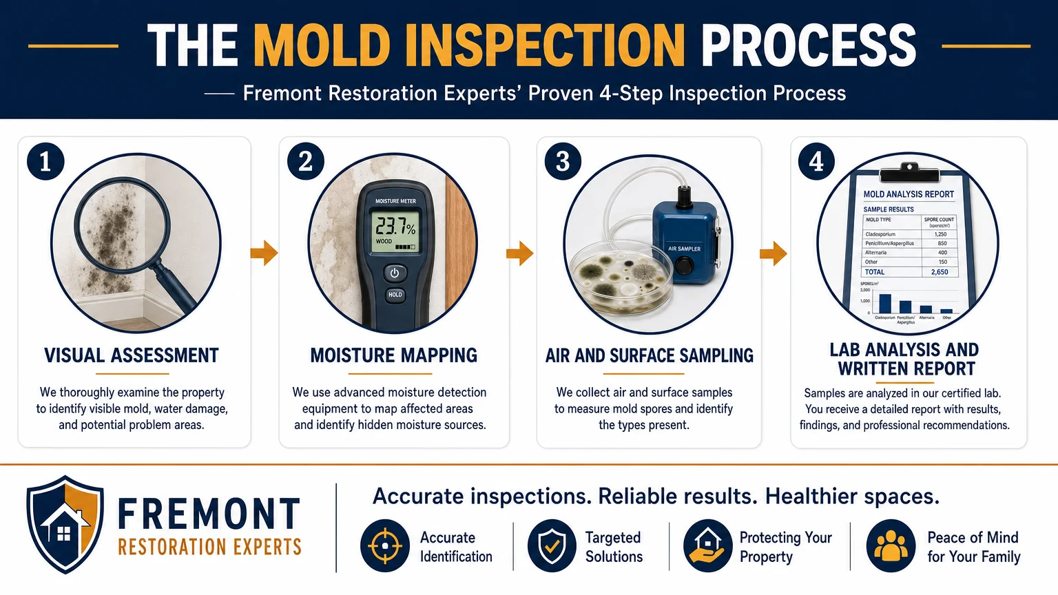 clean professional infographic 16 9 landscape format illustrating Fremont Restoration Experts Fremont