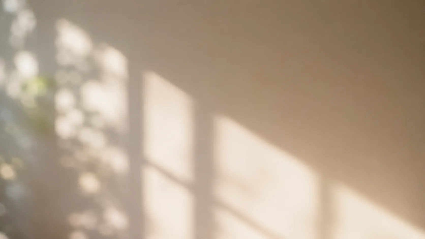 Mold Removal In Orleans In Kanata