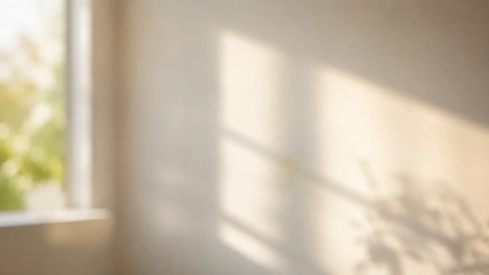 Mold Remediation In Ottawa In Orleans